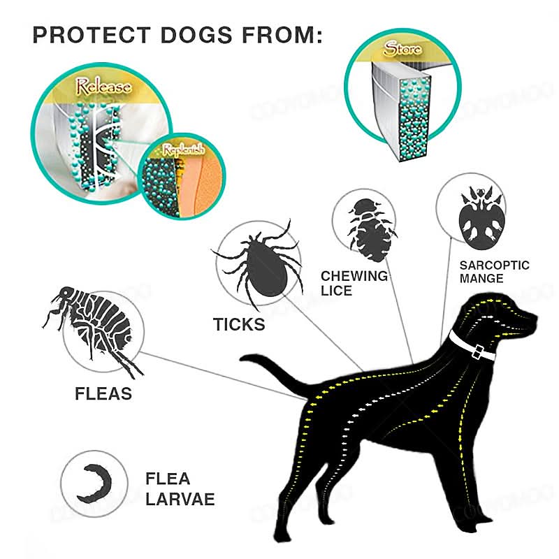 Close-up of an anti-flea & tick collar on a happy dog, providing 8 months of defense.