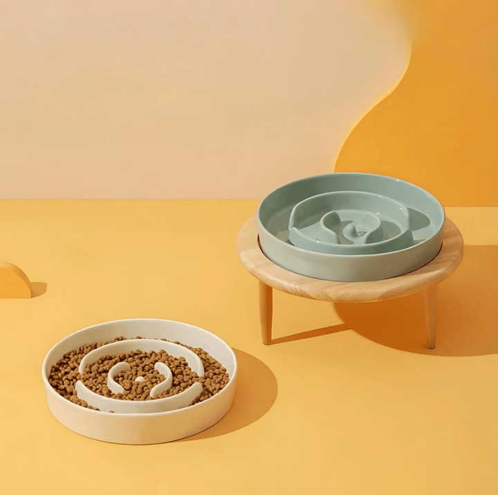 Elegant ceramic slow feeder pet bowl for healthy digestion.