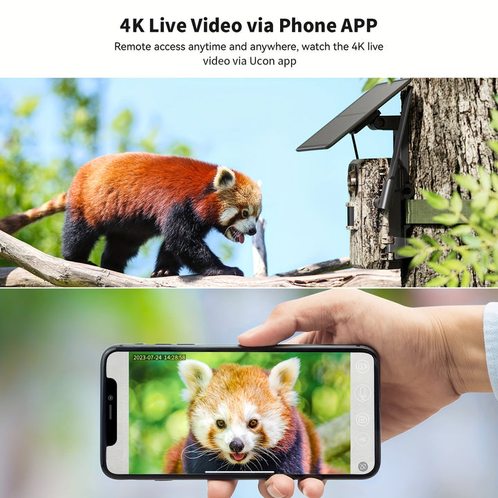 Advanced 4K wildlife camera, solar-charged, weatherproof with night vision & cellular instant alerts.