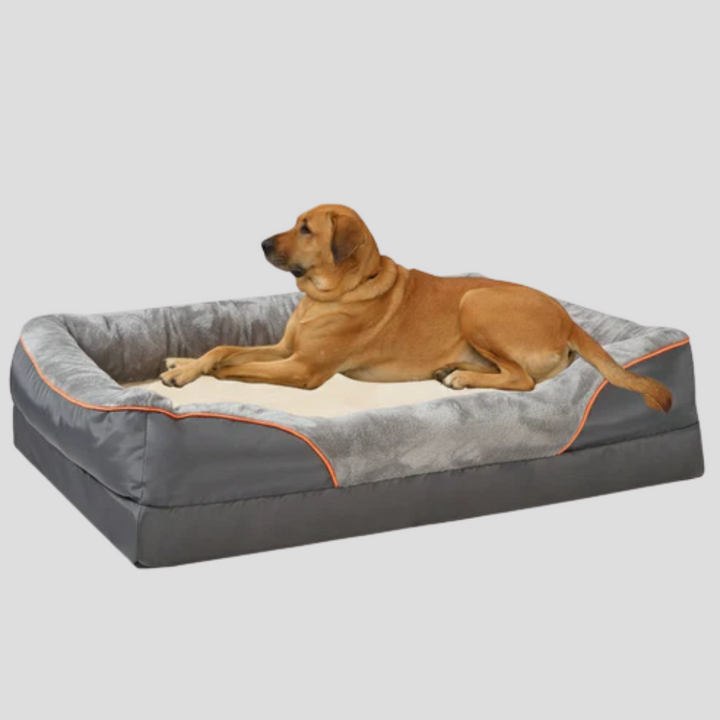 Orthopedic memory foam dog bed with a washable cover, designed for large dog comfort and support.