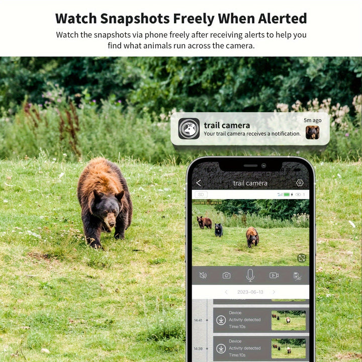Robust weatherproof 4K wildlife camera, solar-powered with clear night vision & instant alerts.