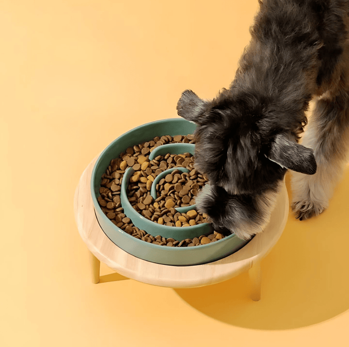 Durable ceramic slow feeder bowl with non-slip wooden stand, aids digestion.
