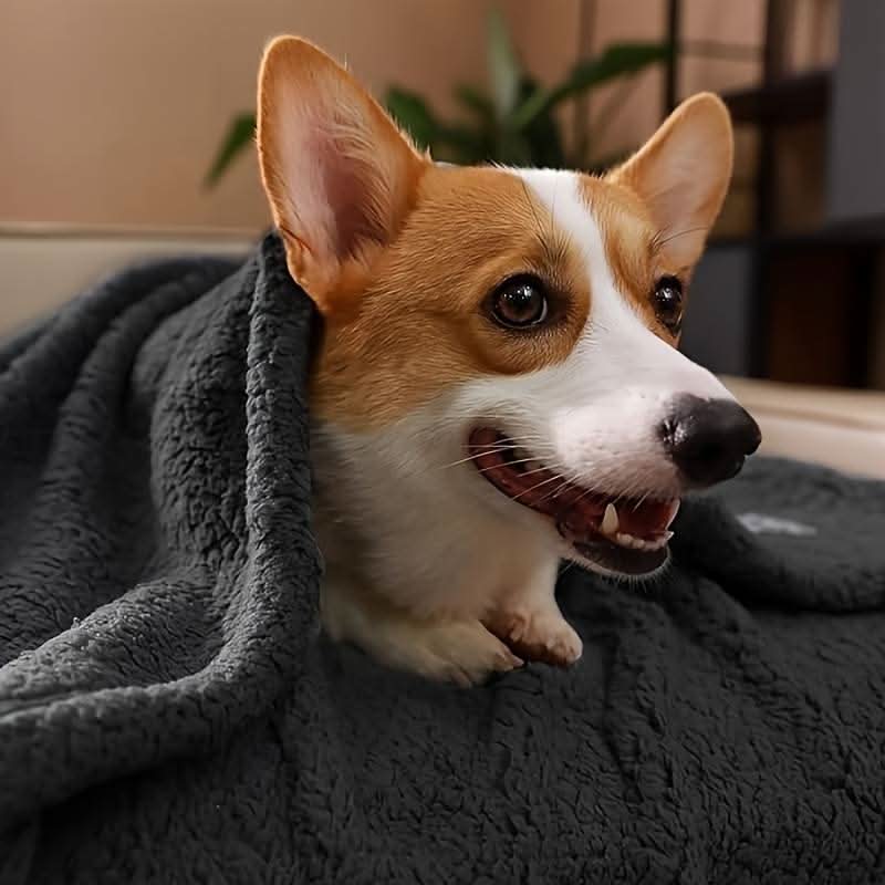 Luxurious plush pet blanket for dogs & cats. Super soft fleece for ultimate warmth & comfort in pet beds.