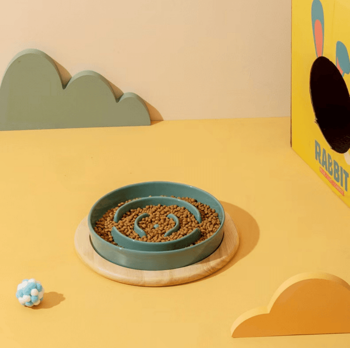 Promotes slow eating & prevents bloat with this ceramic maze design pet feeder bowl.