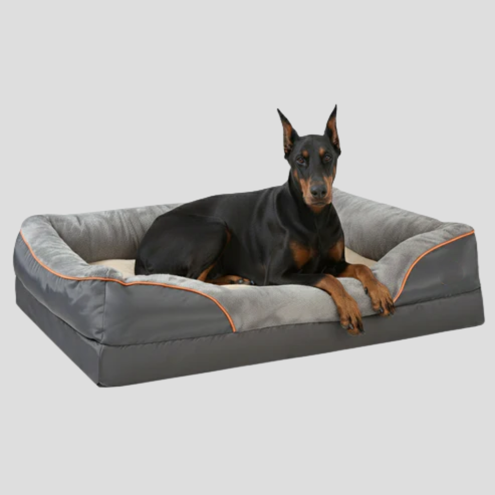 Big dog bed with high-density memory foam, providing orthopedic support and ultimate comfort for large pets.