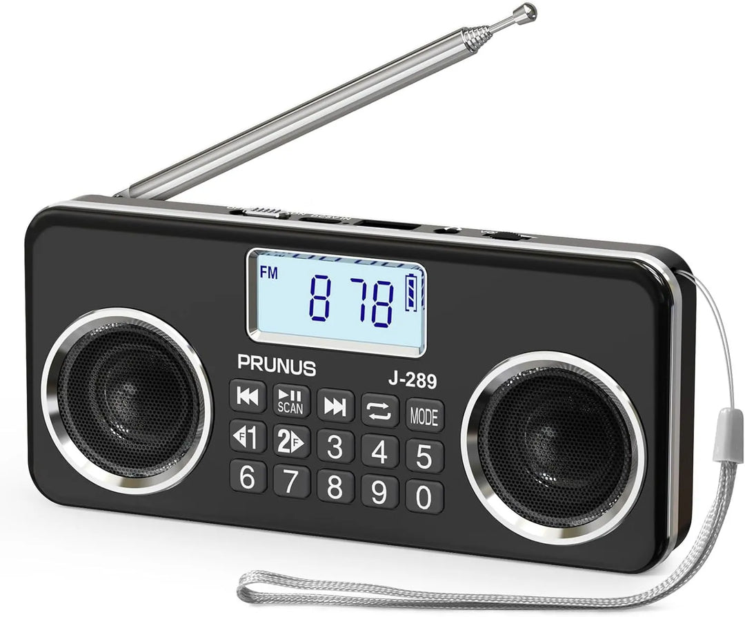 Portable HD Radio with Dual Speakers and LCD Display