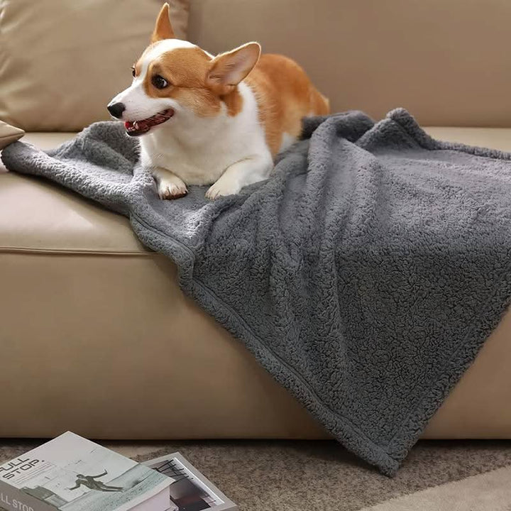 Plush pet fleece blanket in soft gray for ultimate dog & cat comfort. Warm & cozy animal supplies.