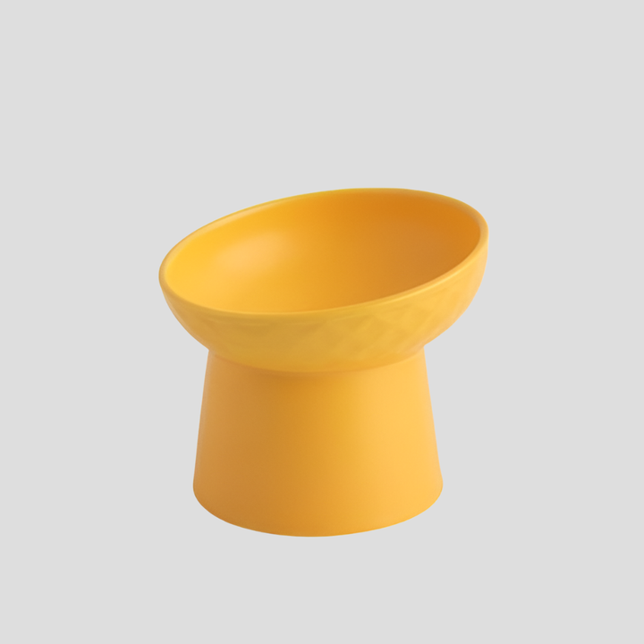 Anti-vomit tilted ceramic cat bowl, promotes better digestion & comfortable eating experience for pets.
