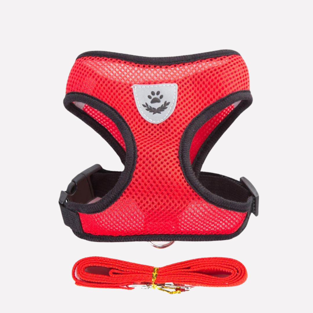 Lightweight, comfortable dog harness & leash set, ideal for active puppies and small breeds.