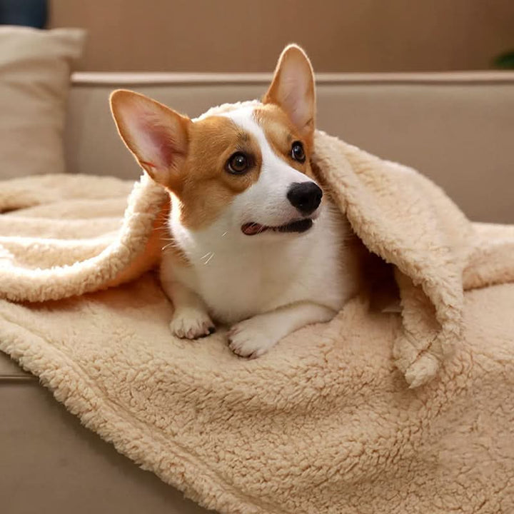 Soft fleece pet blanket, ideal for dog beds, cat comfort, & crates. Ultra-plush & warm travel blanket.