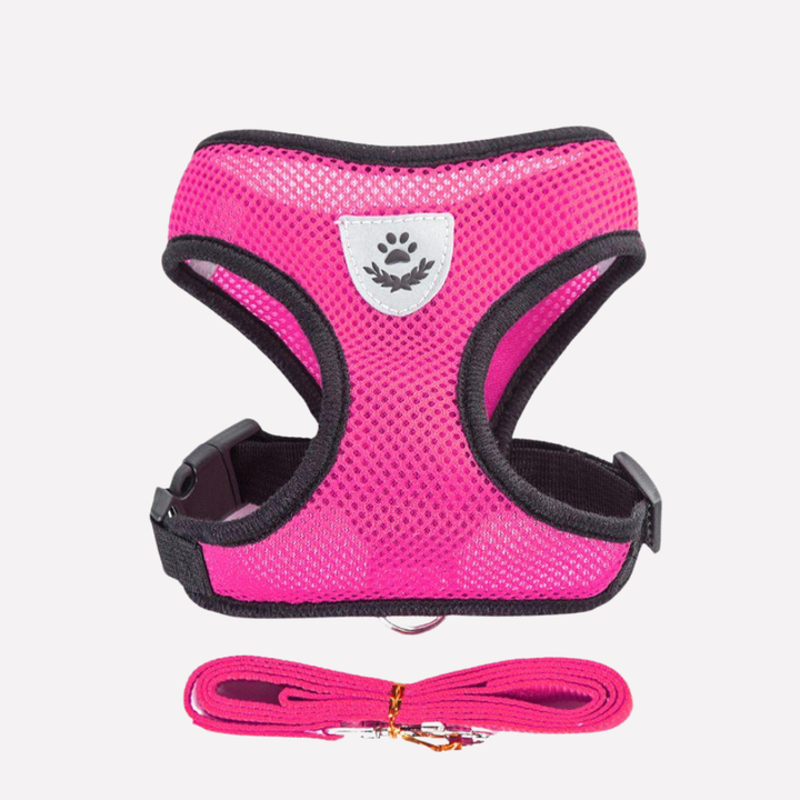 Secure, breathable mesh dog harness & leash, perfect for small pets' daily outdoor activities.