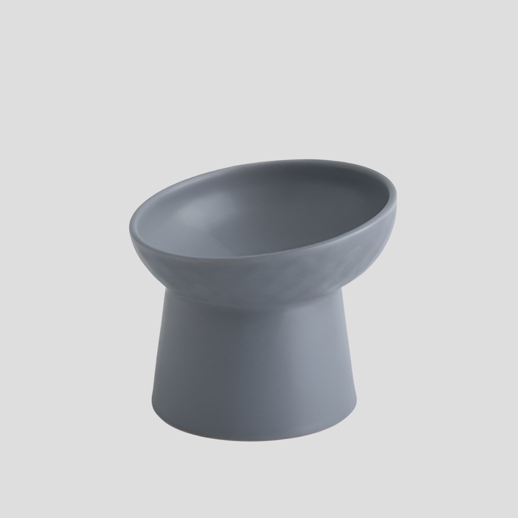Tilted ceramic cat bowl, essential for feline care, reduces neck strain & promotes healthy posture.
