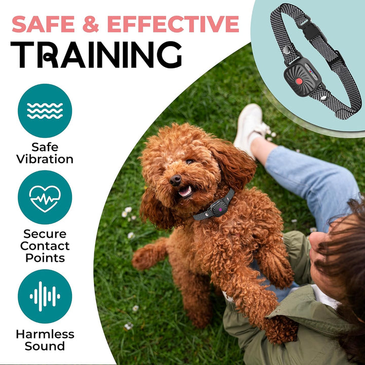 Humane bark control collar for dogs, a customizable pet training tool ensuring gentle feedback and peace.