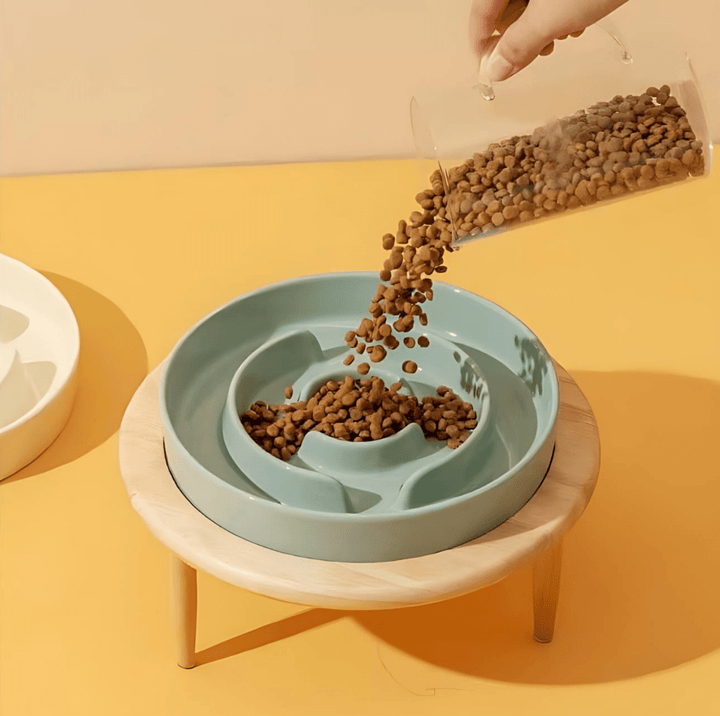Stylish cat slow feeder ceramic bowl for healthier, slower eating.