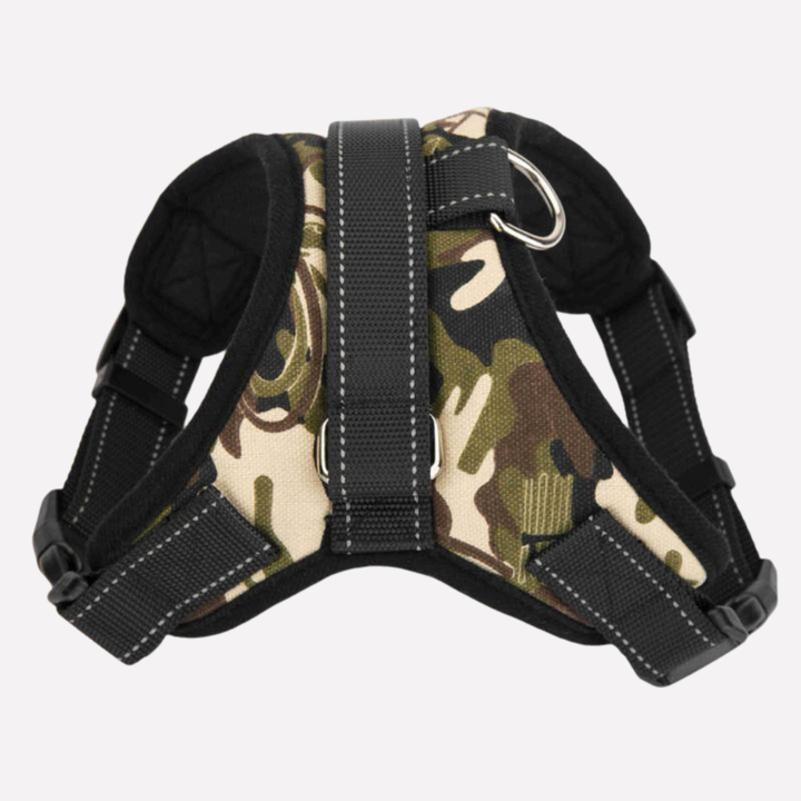 Black vest dog harness and leash for comfortable walks. Adjustable pet accessory, ideal for outdoor adventures.