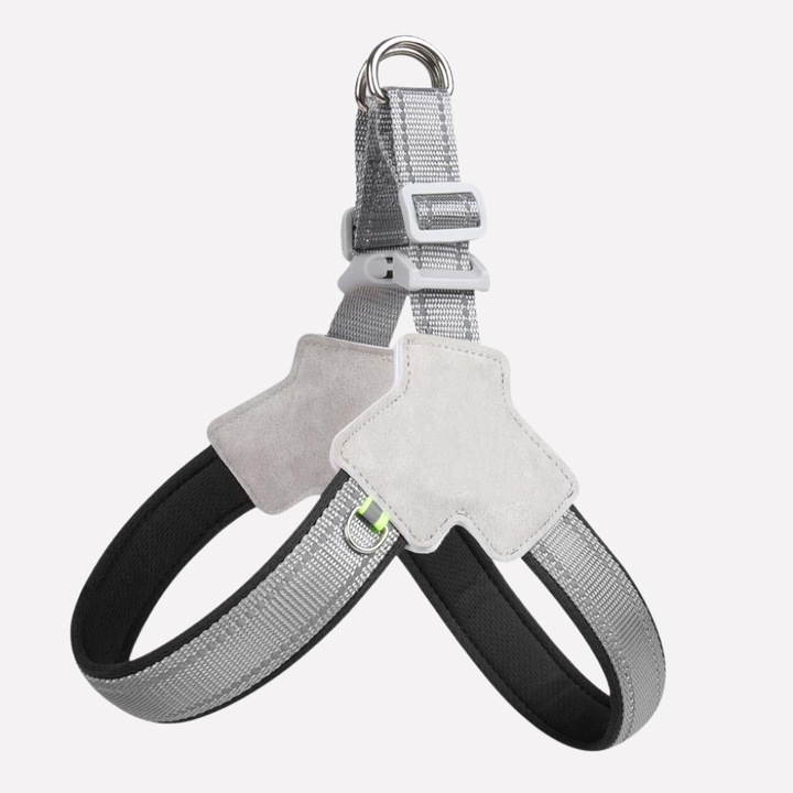 Adjustable no-pull dog harness for comfortable walking & training, suitable for small, medium & large dogs.