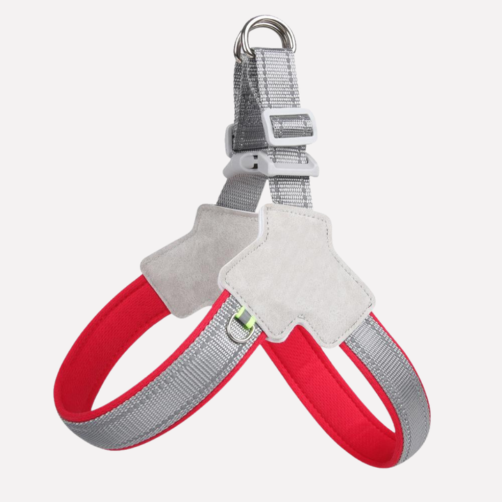 No-pull dog harness ensures comfortable pet walking & training, reducing strain for dogs and owners.