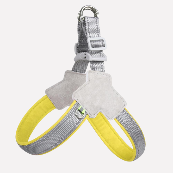 Essential dog accessory: adjustable no-pull training harness for comfortable walking of small to large dogs.