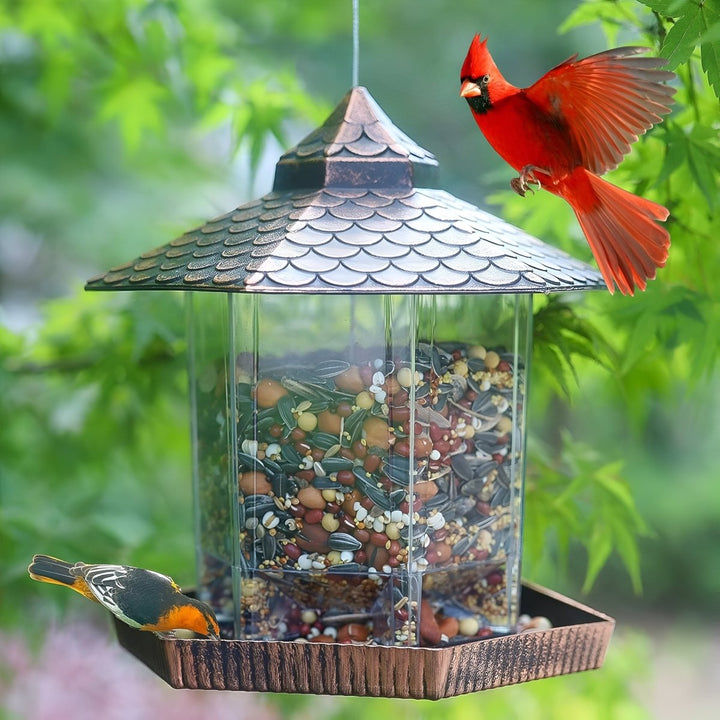 Elegant copper finish hanging bird feeder, perfect for outdoor garden decor & bird watching in your backyard.