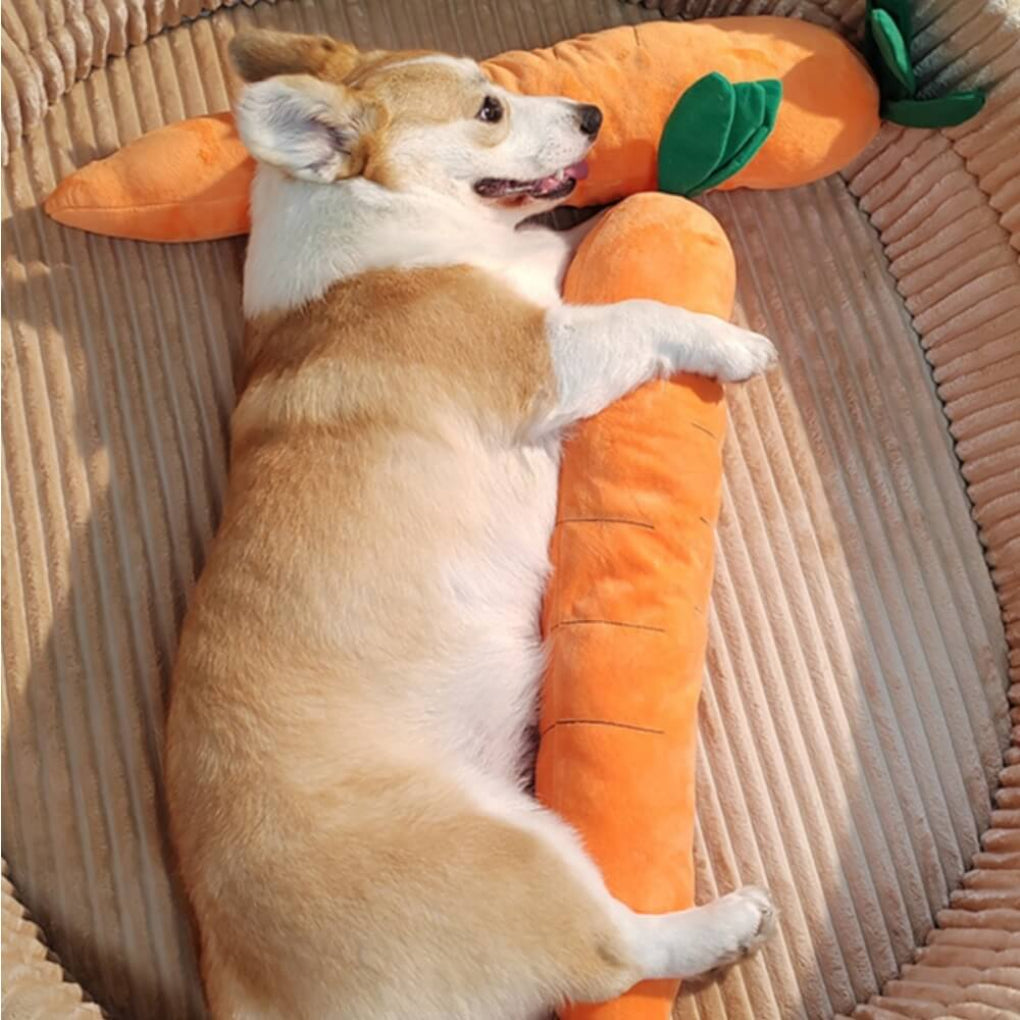 Dog interactive carrot squeaky plush chew toy for puppies and small dogs, promoting enrichment and playtime.