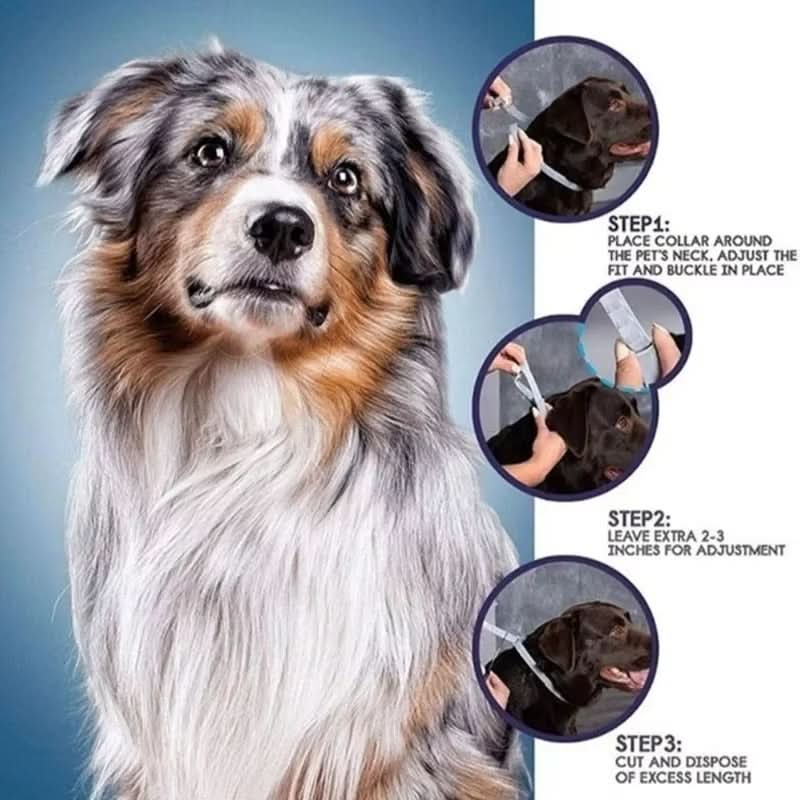 Cat anti-flea & tick repellent collar. Long-lasting 8-month pest control for feline health.
