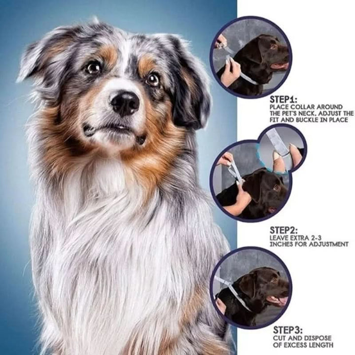 Cat anti-flea & tick repellent collar. Long-lasting 8-month pest control for feline health.