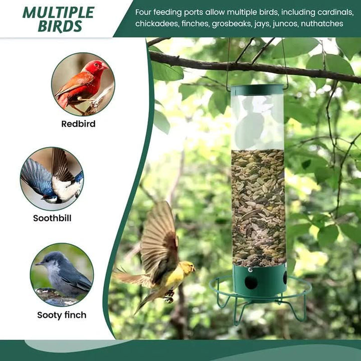 Stylish squirrel-proof bird feeder and house, perfect garden decor for attracting & feeding wild birds safely.