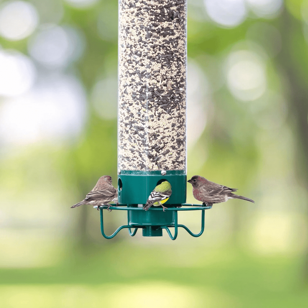 Attractive garden decor birdhouse. Squirrel-proof feeder with 4 openings & rotating perch for happy wild birds.