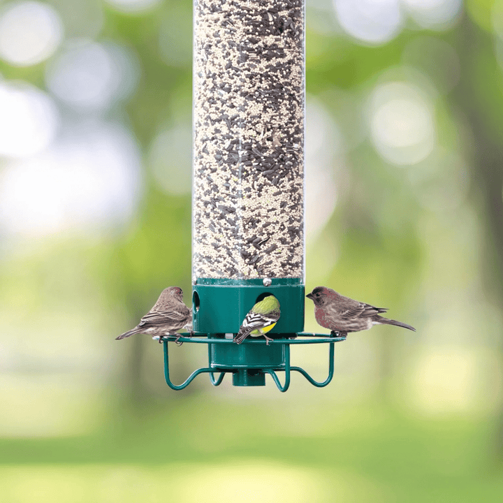 Attractive garden decor birdhouse. Squirrel-proof feeder with 4 openings & rotating perch for happy wild birds.