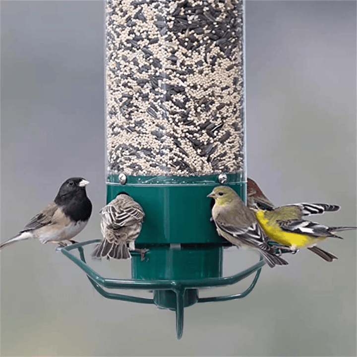 Animal friendly squirrel-proof bird feeder/house. Weatherproof design, rotating perch for wild bird feeding.