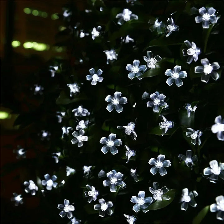 Outdoor 16.4 ft solar-powered blossom lights, creating a warm glow for garden & patio evenings.