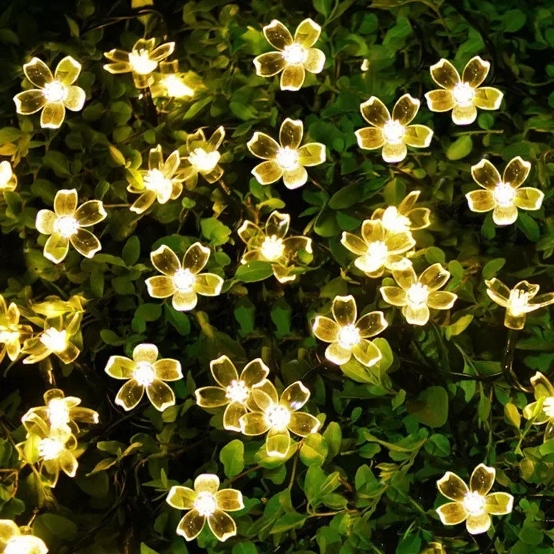 Energy-efficient 16.4 ft solar blossom LED string lights, perfect for garden & patio ambiance.