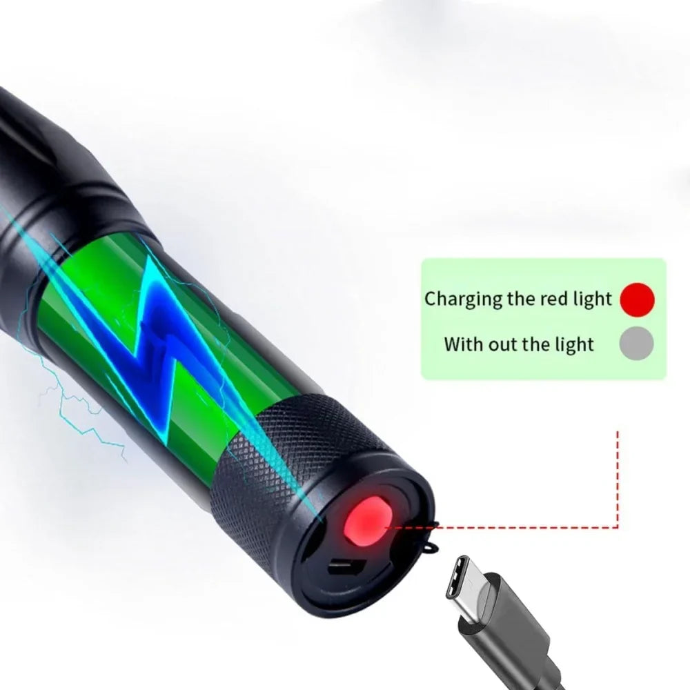 Portable UV flashlight for home inspection, detecting scorpions, leaks, and bed bugs with powerful ultraviolet light.