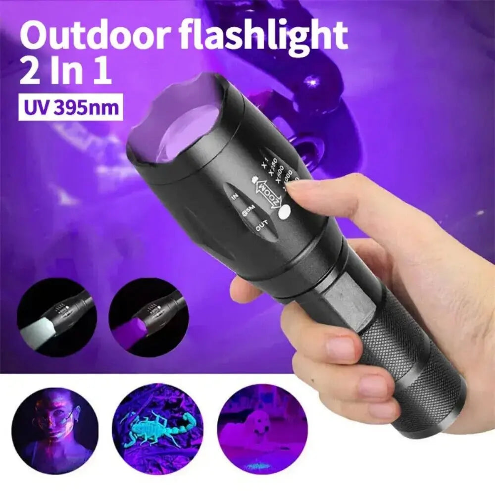 Powerful UV blacklight flashlight revealing hidden pet urine stains on a carpet, essential for deep cleaning.