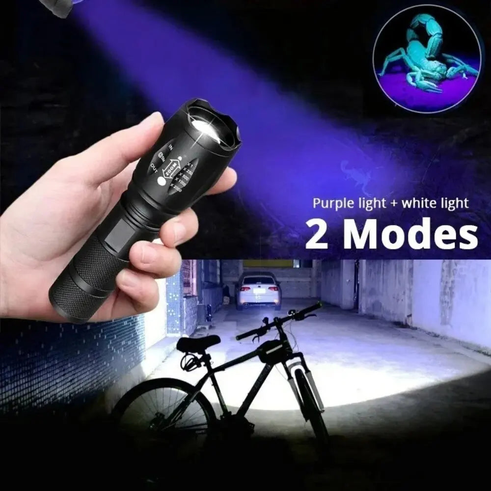 Rechargeable UV blacklight flashlight, ergonomic design, for easy pet stain detection & professional home inspection.