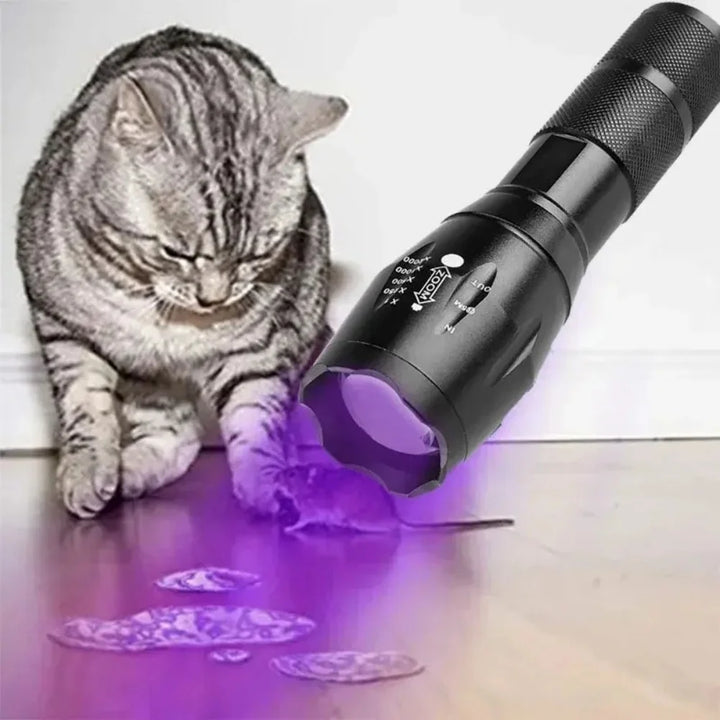 Tavvitaimp18 UV blacklight flashlight illuminating dried dog & cat urine, a crucial tool for thorough cleaning.