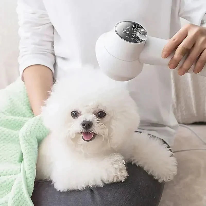 Gentle pet grooming dryer with soft brush for anxious dogs & cats. Low-noise pet care for a calm experience.