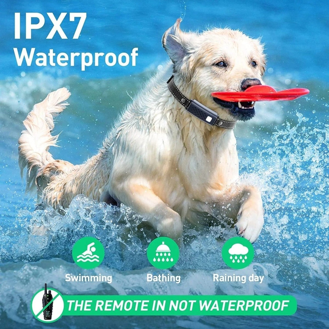 Reliable pet training remote collar, waterproof & long-range (1.25 mile) to correct dog behavior & improve obedience.