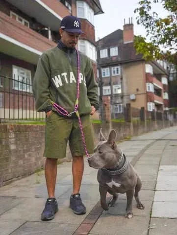 Reflective hands-free running leash for dog jogging & walking, ensuring pet safety during outdoor activities.