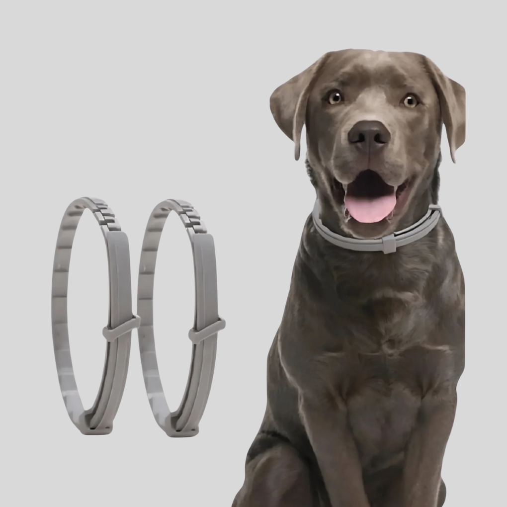 Adjustable, water-resistant natural anti-tick pet collar for dogs & cats. Plant-based flea & tick prevention.