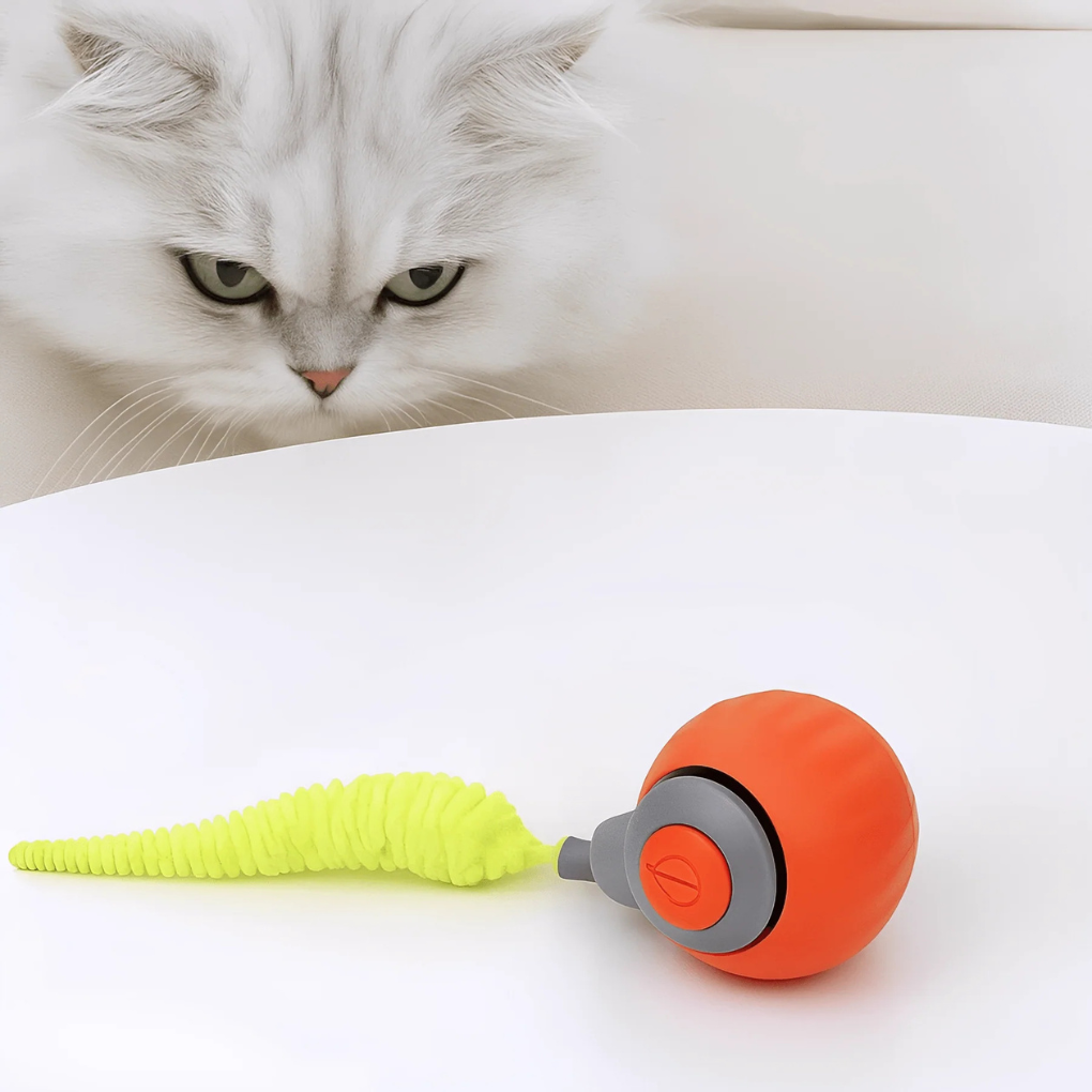 Rechargeable interactive rolling ball cat toy for indoor cats. Promotes playful exercise & mental stimulation.