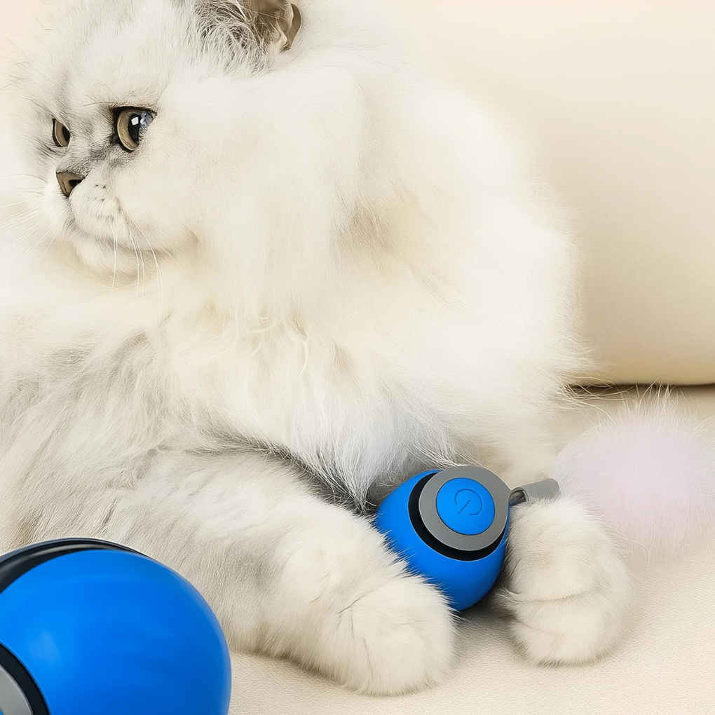 Interactive rolling ball cat toy for playful exercise. Keeps indoor cats active & entertained with motion-activated fun.