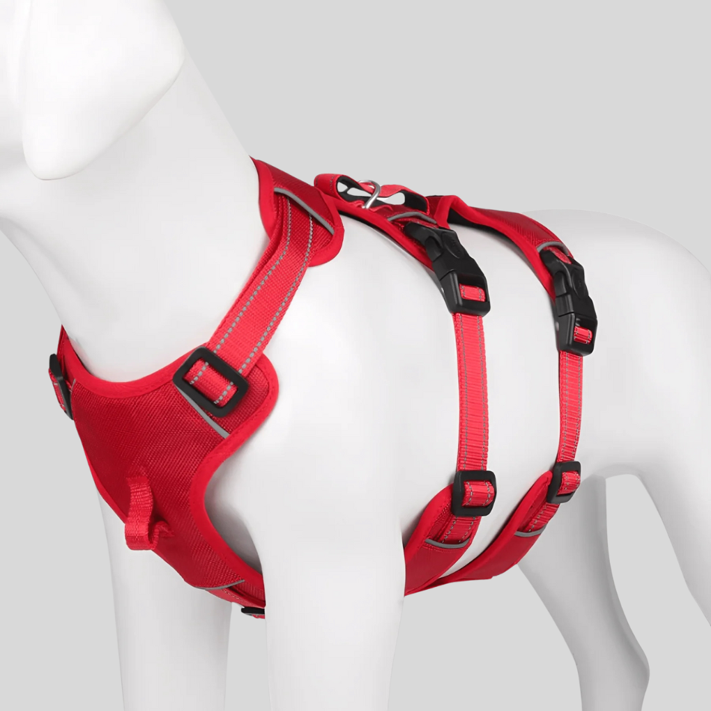 Secure-fit dog harness for pet safety, featuring an adjustable design for comfortable dog walking and training.