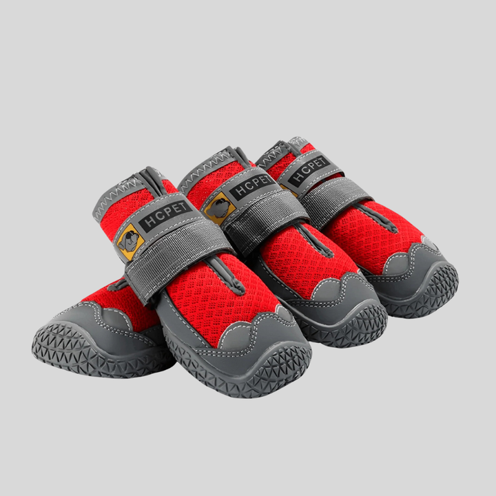 Dog wearing grey waterproof pet footwear, designed for maximum paw protection and comfort on any terrain.