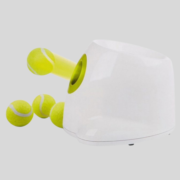 Smart automatic dog ball launcher for engaging fetch & pet exercise. Essential interactive dog toy & training aid.