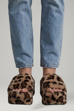 Leopard Brown