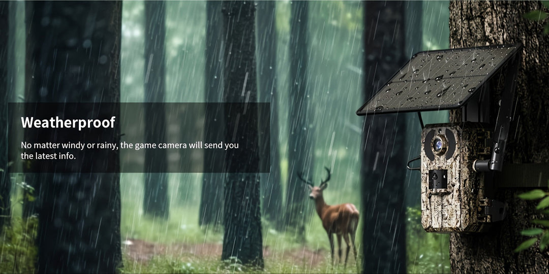 Monitor wildlife 24/7 with this solar-powered 4K cellular camera, featuring night vision & instant alerts.