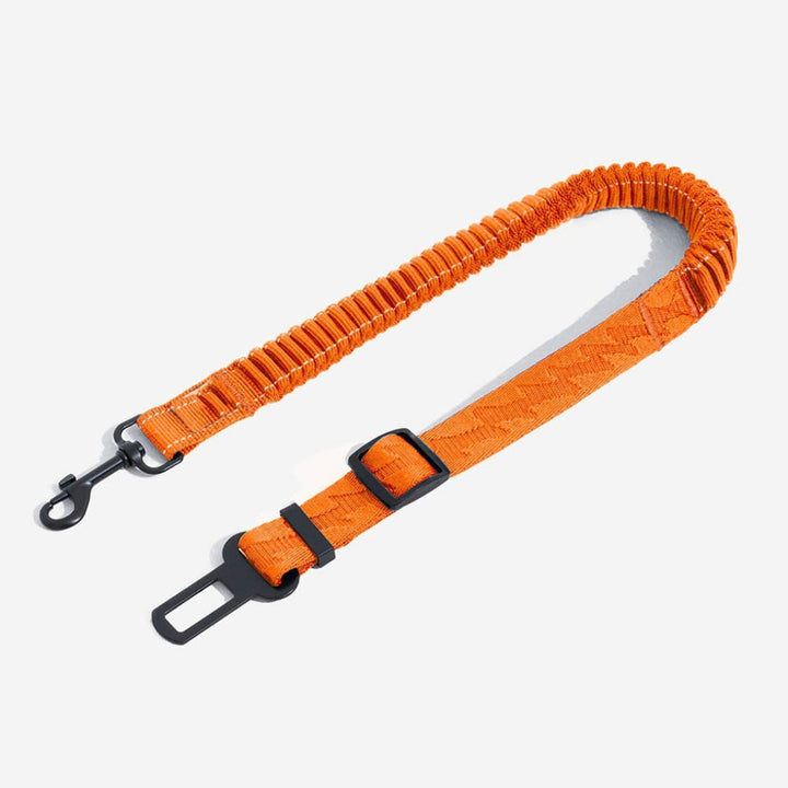 Secure adjustable pet seat belt ensures dog safety and comfort during car travel. Prevents distractions.