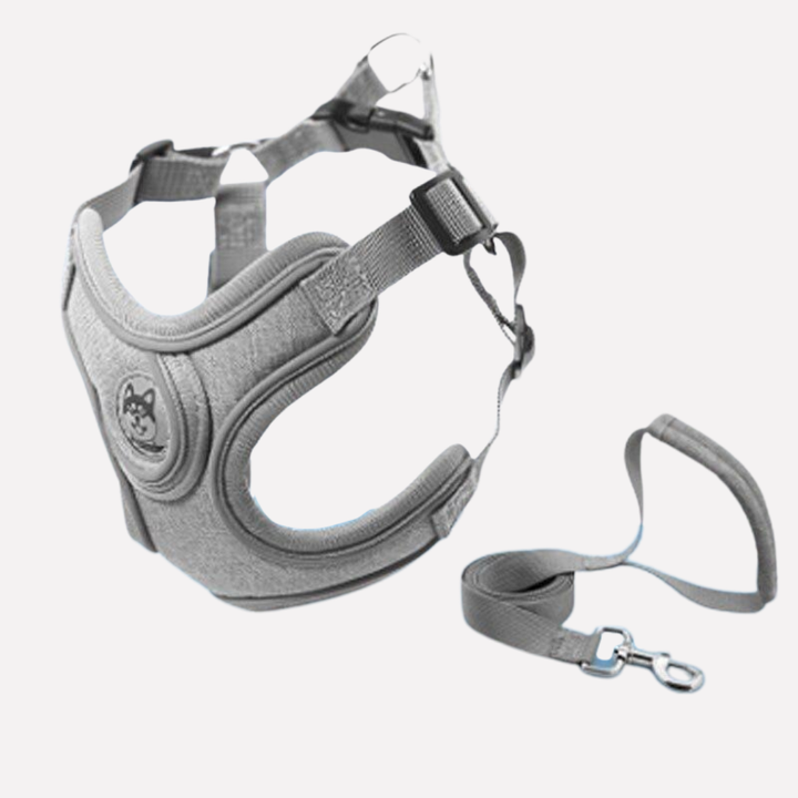 Durable pet supplies: adjustable dog harness & leash for safe, comfortable dog walking. Reflective Oxford fabric vest included.