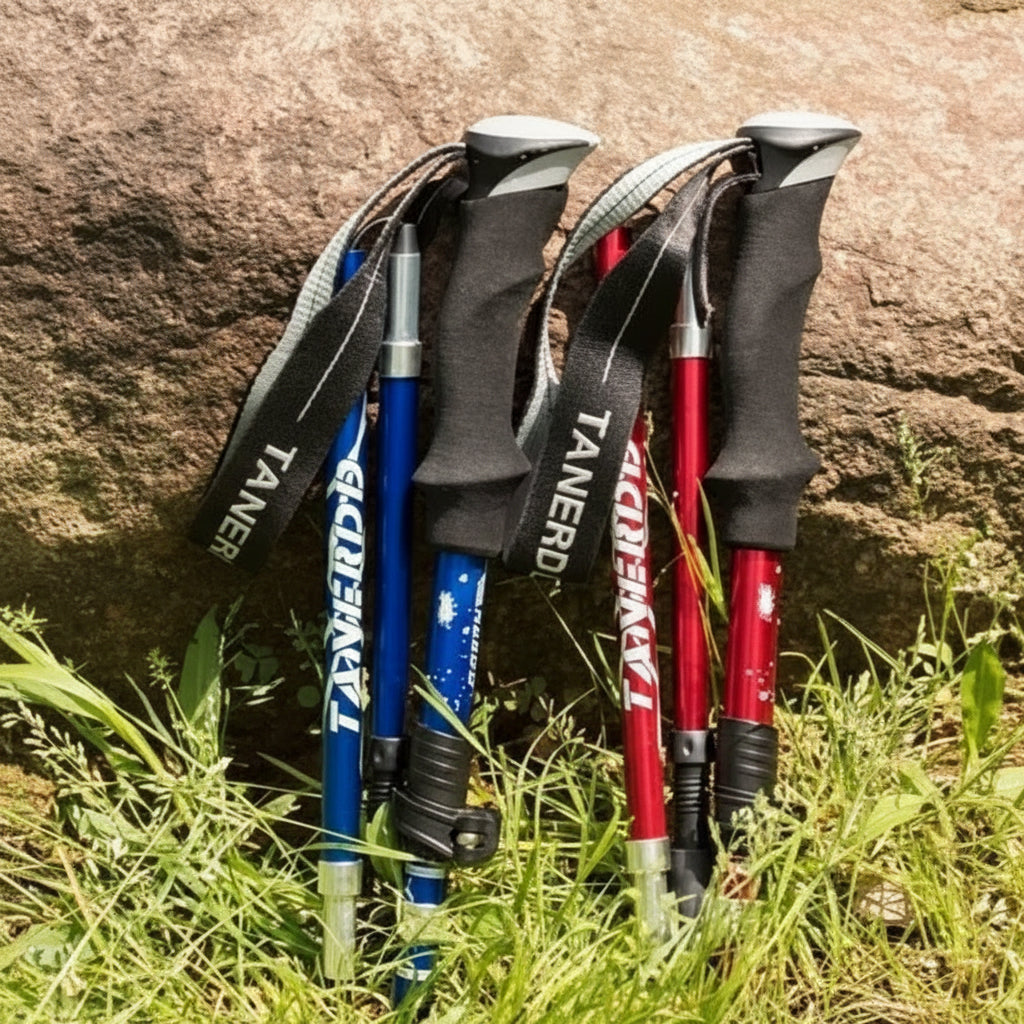 Pair of lightweight aluminum adjustable hiking poles, ready for trekking adventures and providing essential trail support.
